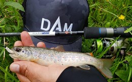DAM Microflex, lanseta unui pescar indragostit de ultralight